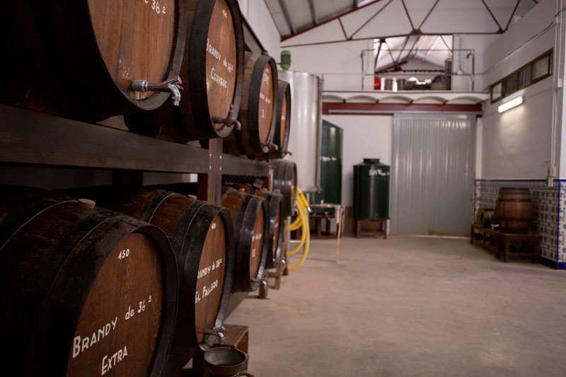 bodega2 bodegas cerveró